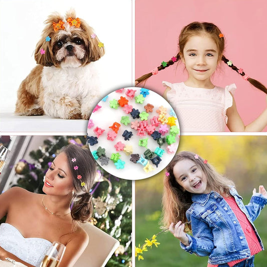 Mini pinzas piojitos para cabello | Foryou