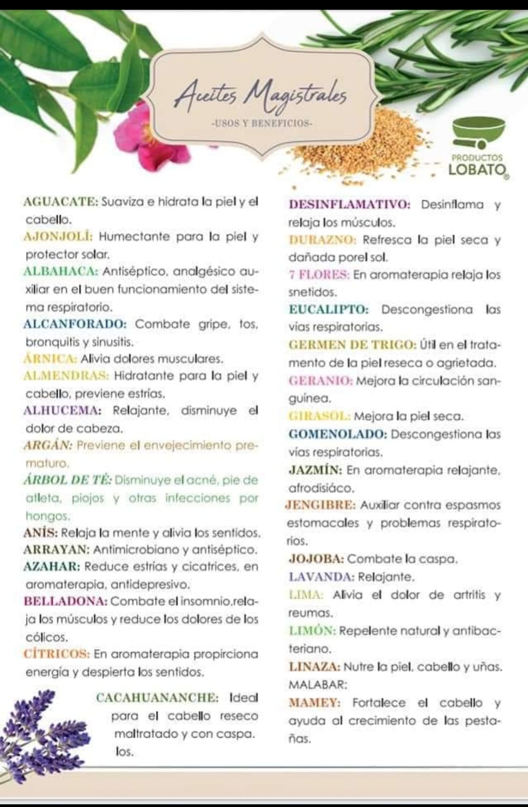 Aceites Magistrales Naturales | LOBATO