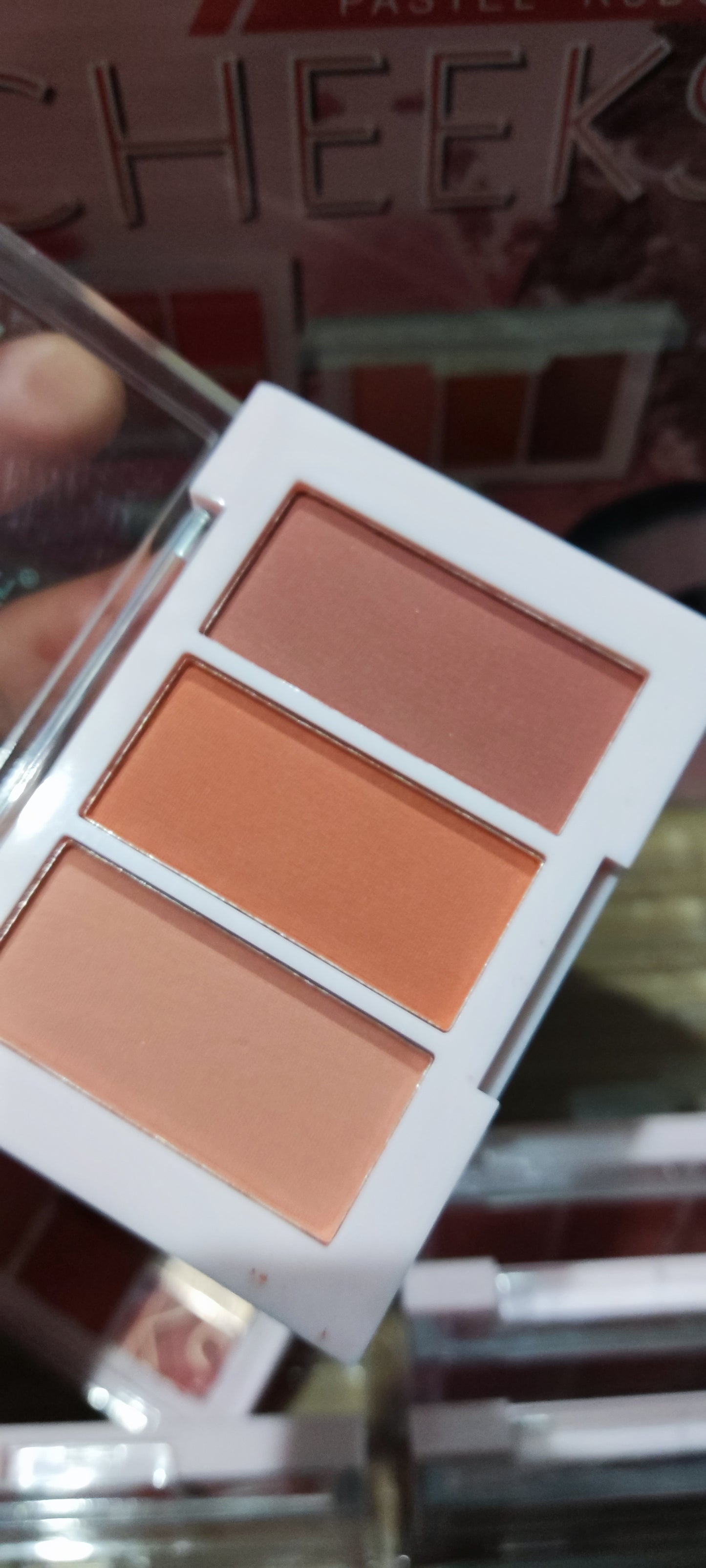 Rubor Cheeks E0340 | SANIYE