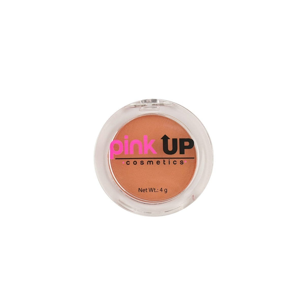 RUBOR BLUSH | PINK UP